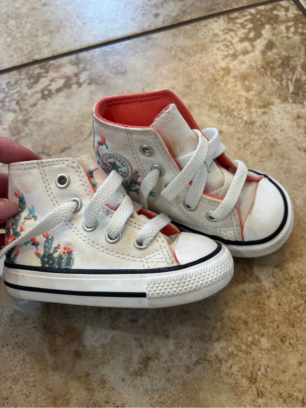Converse Chuck Taylor All Star Hi Succulents Sneaker Vintage White
